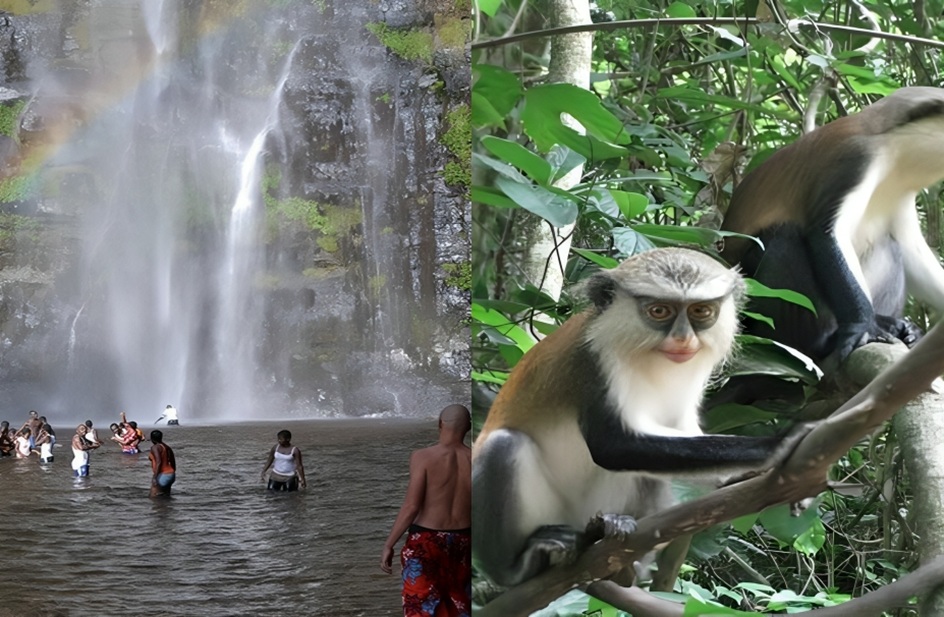 Amedzofe waterfall and monkey sanctuary
