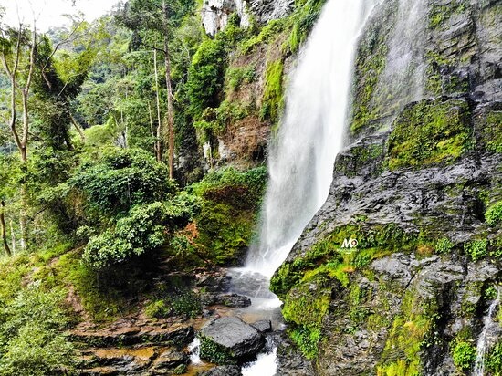 Ote Falls tumbling down a mossy cliff in the forest