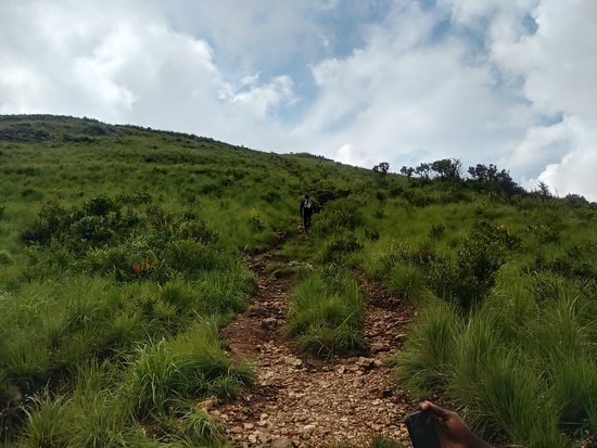Rocky hiking trail climbing a green mountain ridge